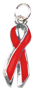 Heart Disease Awareness Ribbon Charm|AwarenessDepot.com