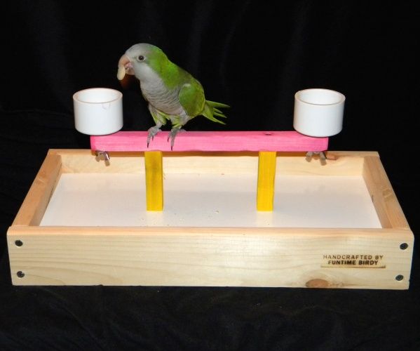 My Buddy Bird Perch