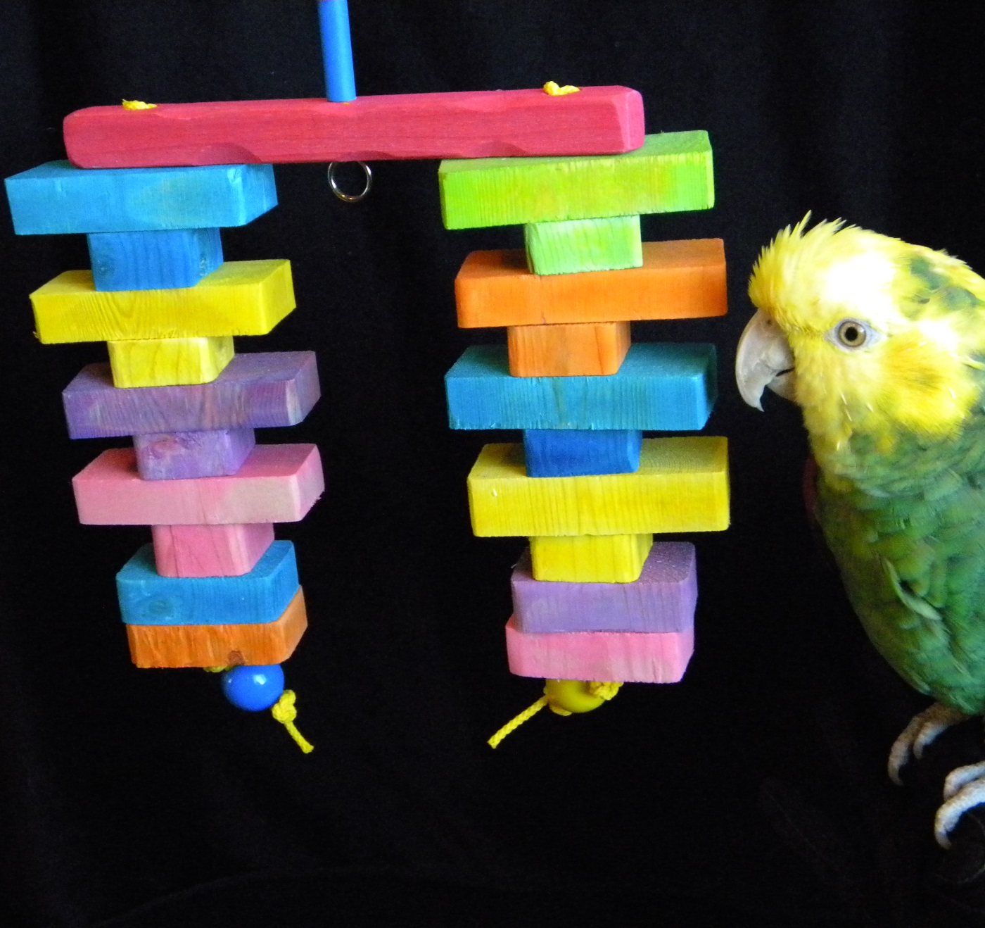 Sheena of the Jungle African Grey/Amazon Bird Toy