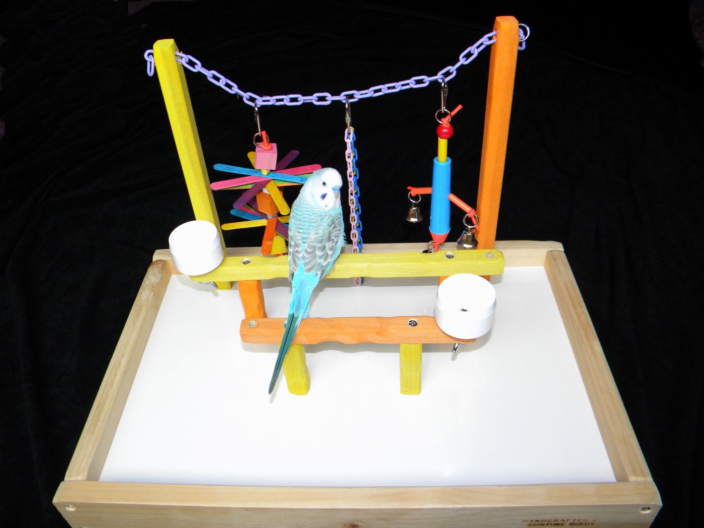 Why Does my Bird Need a Parrot Playgym?