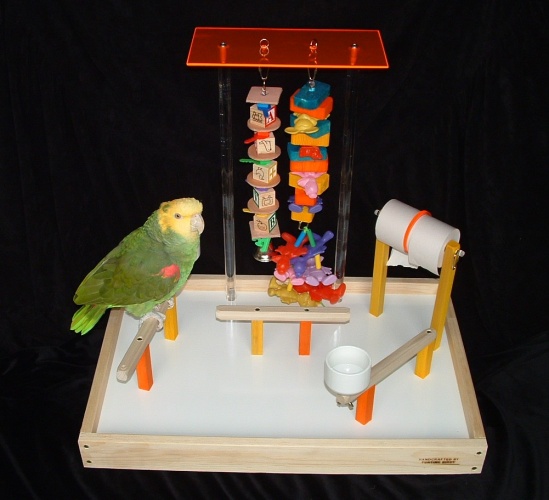Why Does my Bird Need a Parrot Playgym?