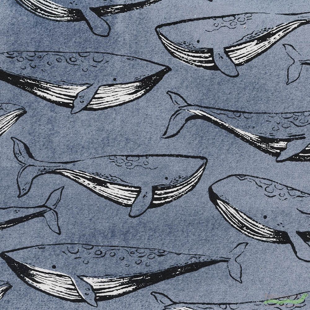 Cotton and Steel, SS Bluebird, Fred and Carrie Navy