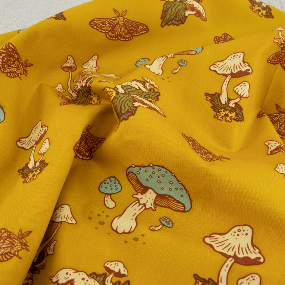 Mustard Beetle for Birch Organic, The Wild Coast, Mushrooms Mustard