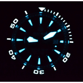 BLUETECH MASTER LUME - Orange Model Only