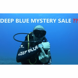 DEEP BLUE 2024  SUMMER SALE MYSTERY SECTION 