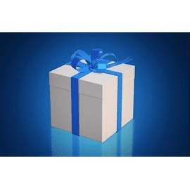 HOLIDAY GIFT IDEAS UNDER $299