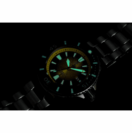 MASTER EXPLORER LUME