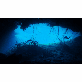 ORIGINAL VERSION  SOLD OUT