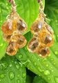 Drops of Citrine