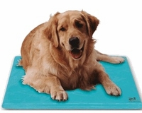 Animal Cooling Products