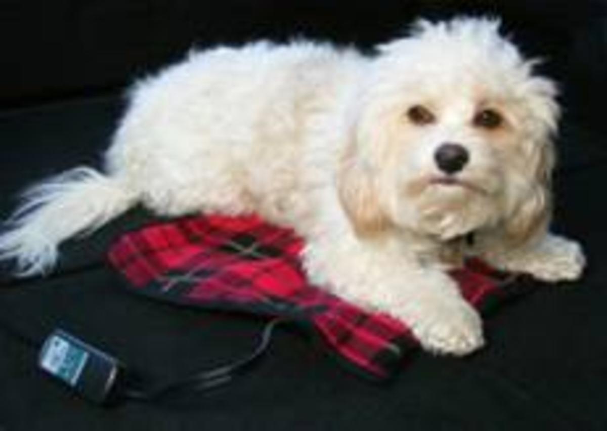 Trillium Car Cozy 2 12Volt Heated Travel Pad with Patented Safety