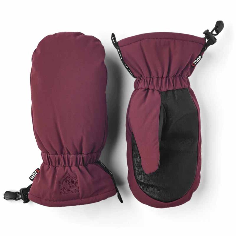 Hestra Mist Skiing Mittens The Warming Store