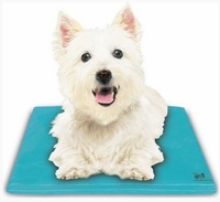 Pet Products