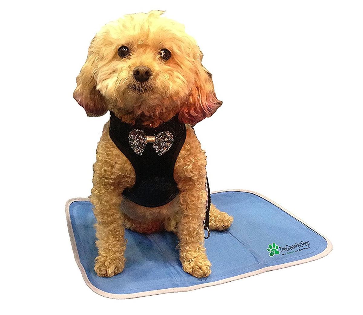 The Green Pet Shop SelfCooling Pet Pad Small The Warming Store