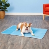 The Green Pet Shop Self-Cooling Pet Pad - Medium