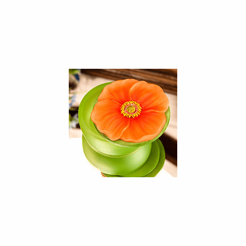 Orange Poppy Keepsake Box