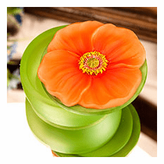 Orange Poppy Keepsake Box