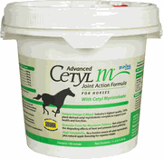 Advanced Cetyl M Joint Action<br> Formula Granules for Horses, <br>22.4lb , Each <br> Durvet CETYL M HORSE 22LB