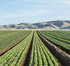 ADVANTIGRO II <br> 2X2.5Gallon <br> Wilbur-Ellis 243013