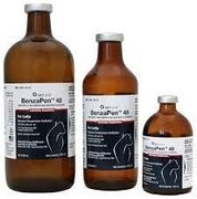 BenzaPen 48 <br> (Penicillin G Benzathine and Penicillin G Procaine) <br>Injectable, 500mL <br> Vetone 1BEN303