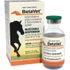 BetaVet Injectable<br> Suspension 5 ml <br>AMERICAN REGENT 10797072001