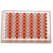 Cell Culture Plates, <br>  96 Well, 50 per Case <br> RPI-141376