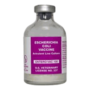 Entero Vac 100 Escherichia Coli Swine Vaccine, <br>Avirulent Live Culture, 20mL <br> Arc Lab 050702