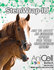 EquusCell StemWrap IU <br> 5/Pack <br> Anicell Biotech EQSW-5X5CM-5PK