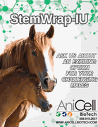EquusCell StemWrap IU <br> 5/Pack <br> Anicell Biotech EQSW-5X5CM-5PK