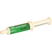 FullBucket Equine Foal Kick Start Paste <br> 80 cc Syringe, 1/Pkg <br> ANIMAL STEWARDS EQFOALKICK1
