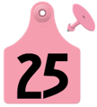 Global Maxi Female Ear Tag<br>  with Button, Blank, Pink , 25/Pack <br> Allflex  GXF/GSM-P