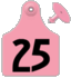 Global Maxi Female Ear Tag<br>  with Button, Blank, Pink , 25/Pack <br> Allflex  GXF/GSM-P