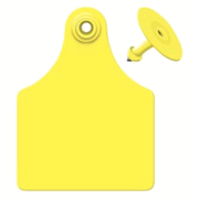 Global Maxi Female Ear Tag <br> with Button, Blank, Yellow , 25/Pack <br> Allflex GXF/GSM-Y
