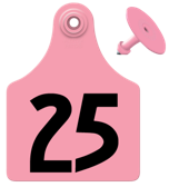 Global Maxi Female Ear Tag <br> with Button, Numbered 1-25,<br>  Pink , 25/Pack <br> Allflex GXF025/GSM-PK