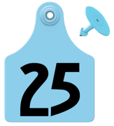 Global Maxi Female Ear Tag <br> with Button, Numbered 101-125, <br> Blue , 25/Pack <br> Allflex GXF125/GSM-B