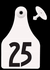 Global Maxi Female Ear Tag<br>  with Button, Numbered 101-125, <br>White , 25/Pack <br> Allflex  GXF125/GSM-W
