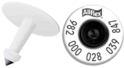 HDX Ultra EID Tag, Extended Male,<br> White, Small , 250/Pack <br> Allflex TFI-HDXOTP982