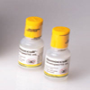 HEMOCCULT DEVELOPER <BR> 20 X 15 ML BOTTLES<BR>62115 HEMOCCULT DEVELOPER <BR> 20 X 15 ML BOTTLES<BR>62115