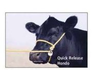 Hondo Quick Release Halter, <br> Black, 0.5"<br> Vetone 82070