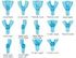 Impression Tray Intro Pack,<br>  Assorted Sizes, 40/pk , 5 Pack/Case ,<br>  Pacdent 56421