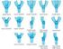 Impression Tray, <br> Upper Left/ Lower Right Quadrant, <br>12/pk , 20 Pack/Case , <br> Pacdent 417
