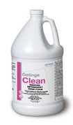 Instrument Detergent <br>Manual Detergent HI Foam<br> 1 Gallon , 4/Case <br>  Getinge 61301605271
