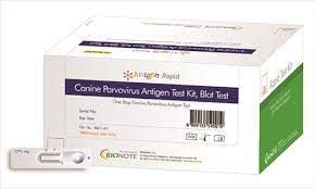 Anigen Rapid Canine Parvovirus Antigen Test Kit , 10/Box Modern Vet 0007