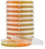 Culture Plate Derm Duet<br> 10/Pack <br> Bacti-Lab J350