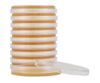 Mycoplasma Agar, <br> 100mm x 15mm Plate , 10/Pack <br> Bacti-Lab G102