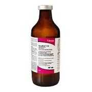 EnroMed 100 (Enrofloxacin) <br> Antimicrobial Injectable Solution 100mg/mL, 250mL <br> Bimeda 1ENR008