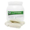 'O' Cal-D Cap <br> 40/Pack <br> Bio-Vet OG-00570