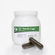 'O' Pecti-Cap Cattle Capsules, <br> 40 Count <br> Bio-Vet OG-00507