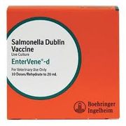 EnterVene-d Salmonella Dublin Vaccine, <br> Live Culture, 100mL<br> Boehringer Ingelheim 139912-Each 