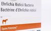 Equine Potomavac <br>  Ehrlichia Risticii Bacterin Vaccine, 10mL <br> Boehringer Ingelheim 126563